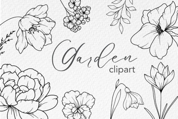Download FLOWERS LINE DRAWING, Floral Line Art - Floral Collection