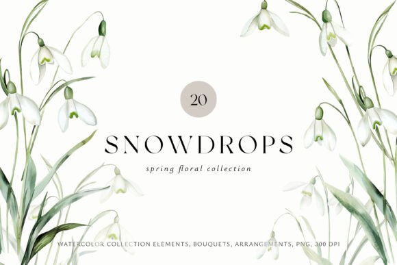 Download Snowdrops Watercolor Floral Collection - Floral Collection