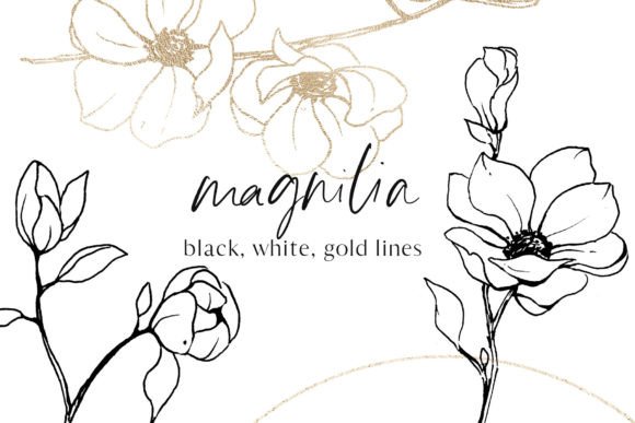 Download Flowers Magnolia Line Art Floral Set - Floral Collection