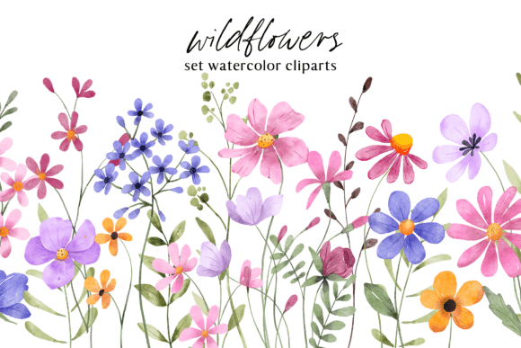 Download Floral Watercolor Set, Flowers, Leaves. - Premium Resources