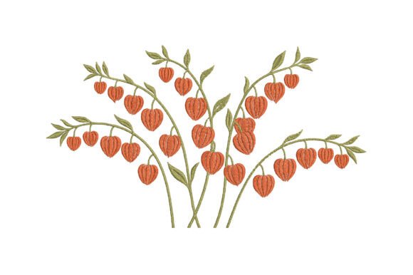 Download Chinese Lantern Plant Embroidery Design - Plant Collection